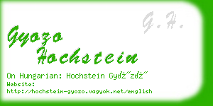 gyozo hochstein business card